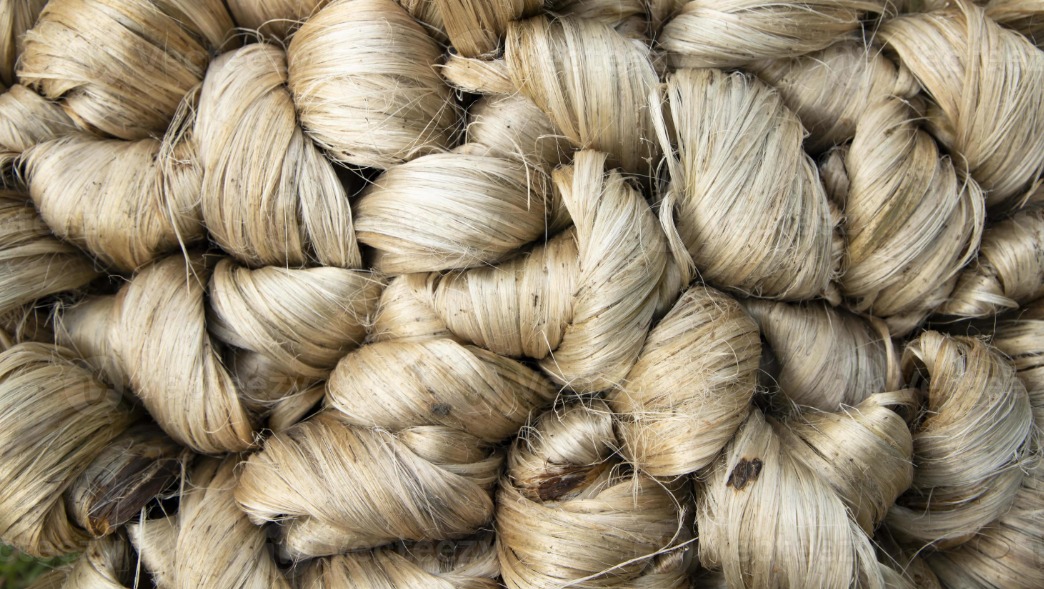 Raw Jute Fibre — Tossa & White jute · TD-2 to TD-7