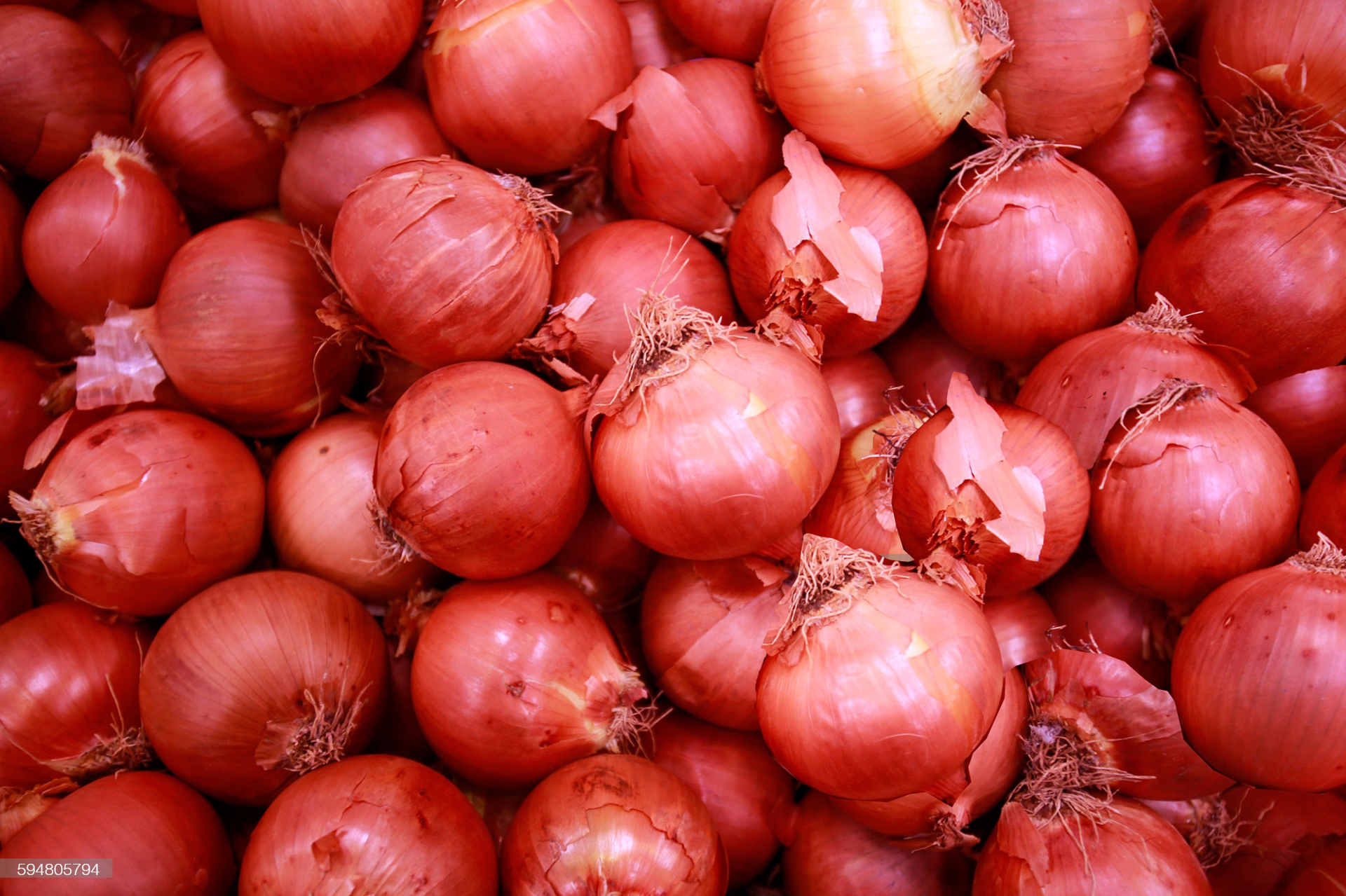 Red Onion — Premium Nasik & Bihar grade